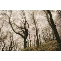 Goodyear Newton Trail Tubeless Front MTB Tyre Black 2.5" 27 -Cykler Salg Goodyear Newton Trail Tubeless Front MTB Tyre Tyres Black GR 015 64 622 V002 R 9